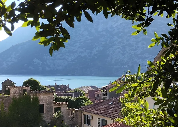 Apartments Montenegro Risan Cuckovic